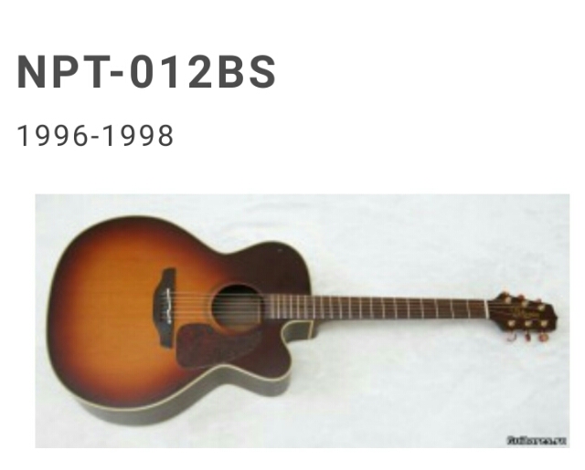 オンラインストア格安 タカミネ　npt-012bs アコースティックギター